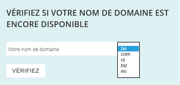 Comment vérifier si un nom de domaine est encore libre